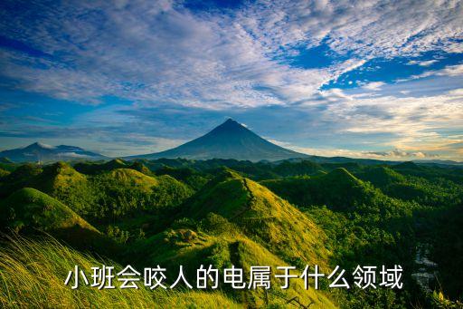  小班会咬人的电属于什么领域