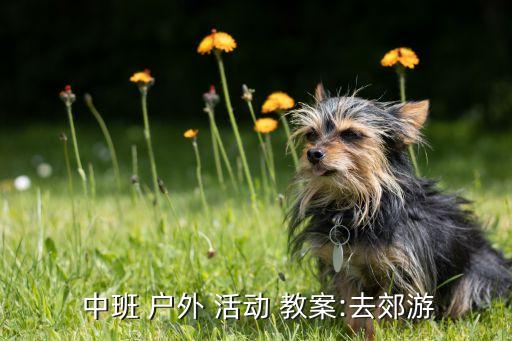 中班户外活动 跑步 教案,幼儿园中班卫生教案体育活动指南