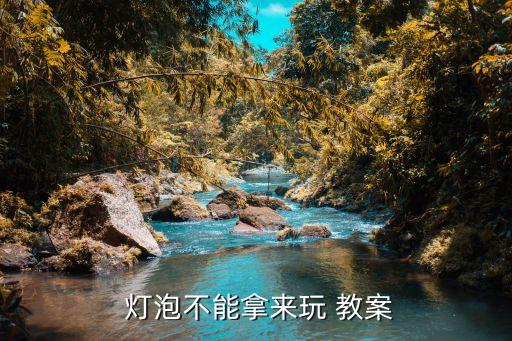  灯泡不能拿来玩 教案