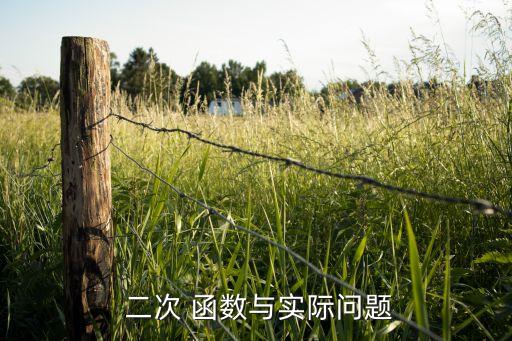 二次 函数与实际问题