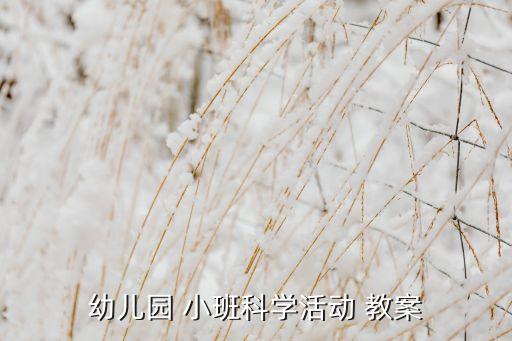 小班科学给纸宝宝洗澡教案,幼儿园小班科学活动教案8参考资料