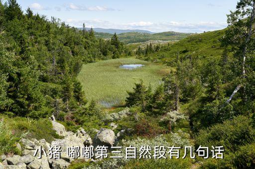  小猪 嘟嘟第三自然段有几句话