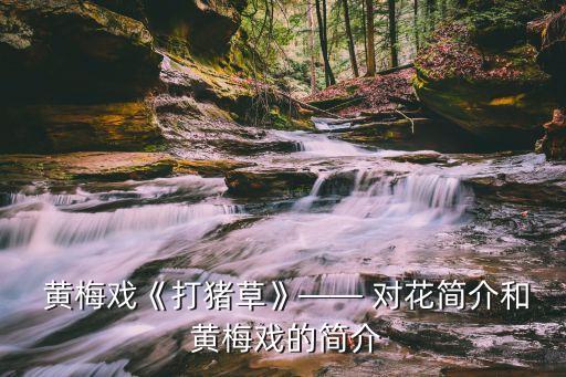  黄梅戏《打猪草》—— 对花简介和 黄梅戏的简介