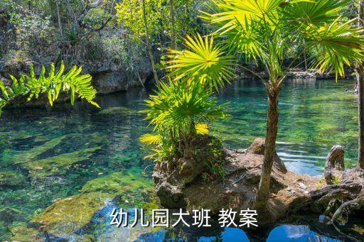  幼儿园大班 教案