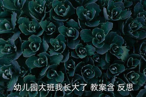 幼儿中大班教案反思,我的幼儿园教案有何来头?