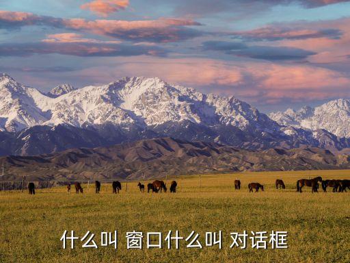 什么叫 窗口什么叫 对话框