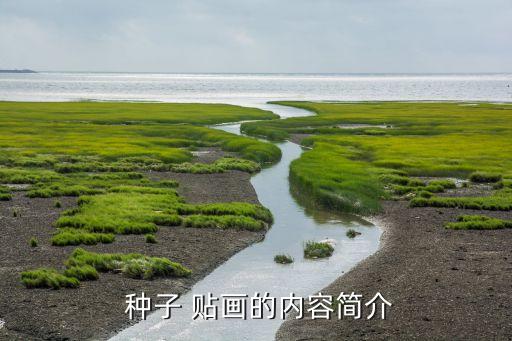  种子 贴画的内容简介