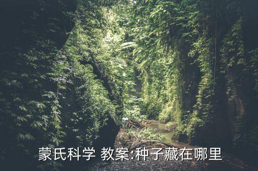 幼儿蒙氏工作教案,4.小组活动尊重幼儿个体差异提供大量材料