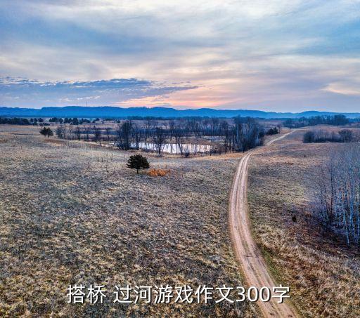搭桥 过河游戏作文300字