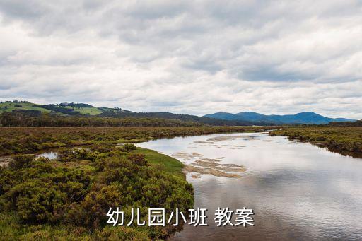 摇啊摇教案托班,幼儿园小班教案