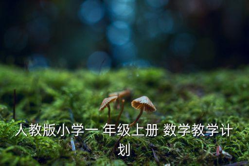 一年级数学上学教案,数出小于20的物体个数学会加减法