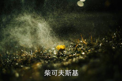  柴可夫斯基