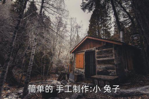 简单的 手工制作:小 兔子