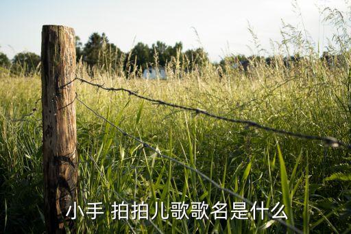 童谣案小手拍拍教案,小手拍拍第一集