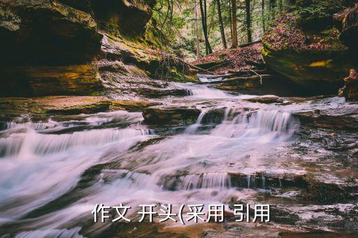  作文 开头(采用 引用