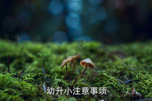 新东方幼升小语文教案,幼升小家长看小学也要看升学点!