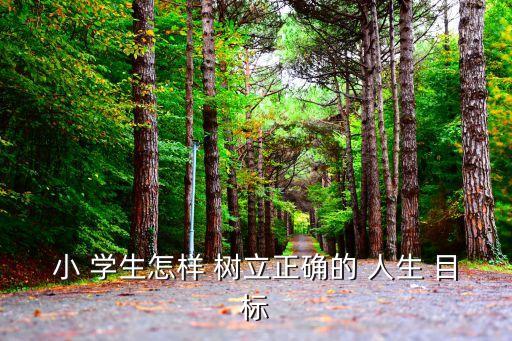 小 学生怎样 树立正确的 人生 目标