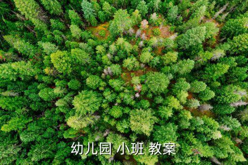 小班教案会变的圆圆圈,幼儿园小班教案10