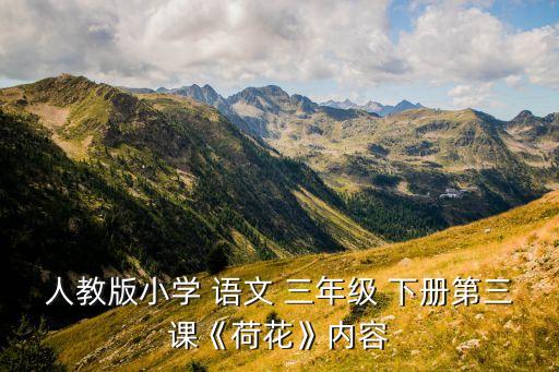 人教版小学 语文 三年级 下册第三课《荷花》内容