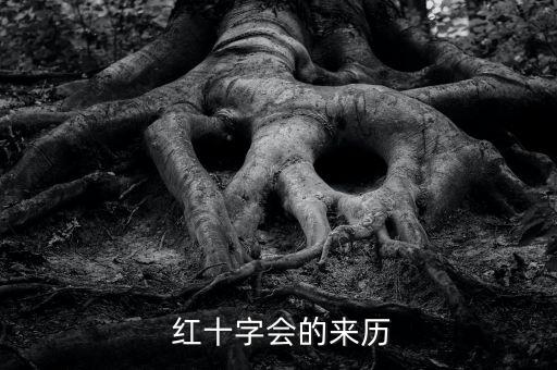  红十字会的来历