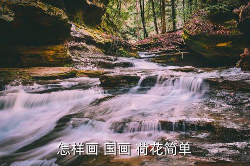 怎样画 国画 荷花简单
