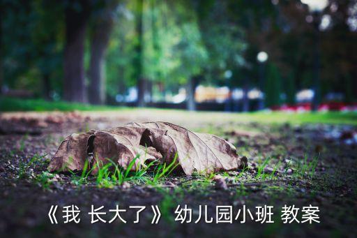 幼儿园我又长大来一岁教案,第二集:亲子阅读与分享朗读经典
