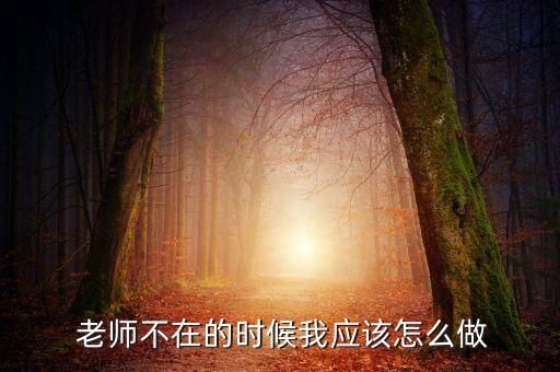  老师不在的时候我应该怎么做