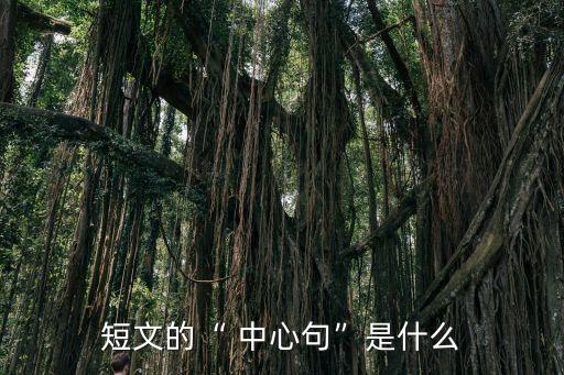 教案含有中心句的段落,一文读懂!精选新闻】