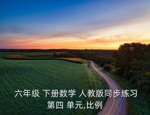  六年级 下册数学 人教版同步练习第四 单元,比例