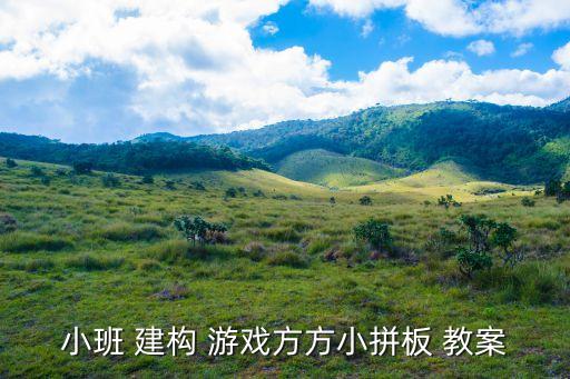 小班 建构 游戏方方小拼板 教案