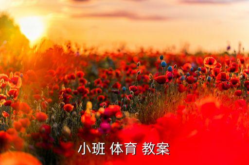 小班 体育 教案
