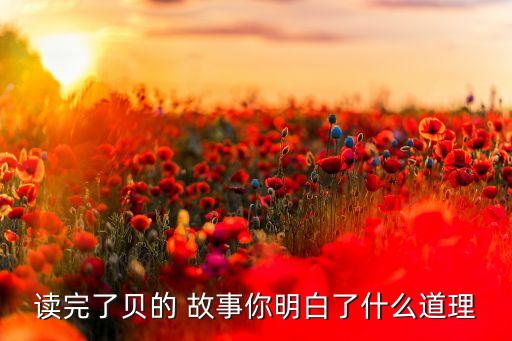 读完了贝的 故事你明白了什么道理