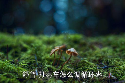 舒普 打枣车怎么调循环枣
