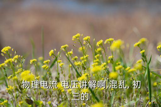  物理电流 电压讲解啊,混乱, 初三的