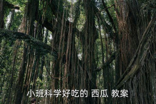 幼儿教案西瓜,如何关注教案学习西瓜知识?