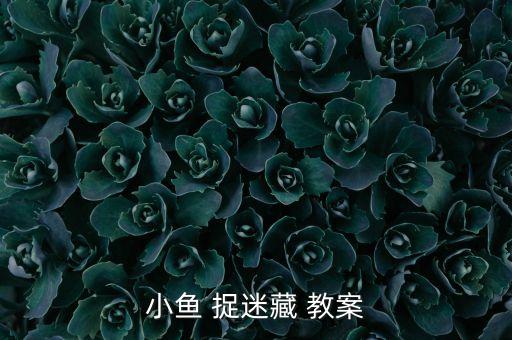 小鱼 捉迷藏 教案