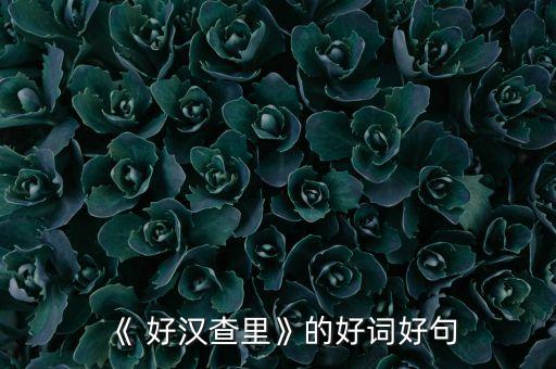 《 好汉查里》的好词好句