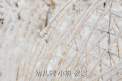 小班大与小教案视频,教案是教学活动的基础