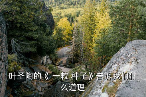 叶圣陶的《 一粒 种子》告诉我们什么道理