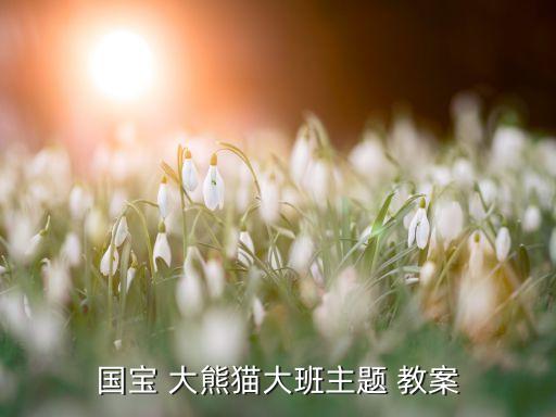 幼儿园大熊猫看戏教案,国宝大熊猫大课主题教案第一条