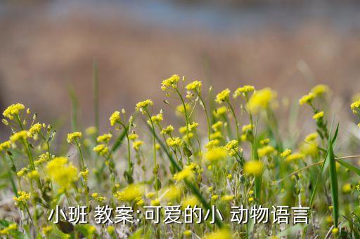 幼儿园我喜欢的小动物教案,幼儿园大班教案可爱动物1