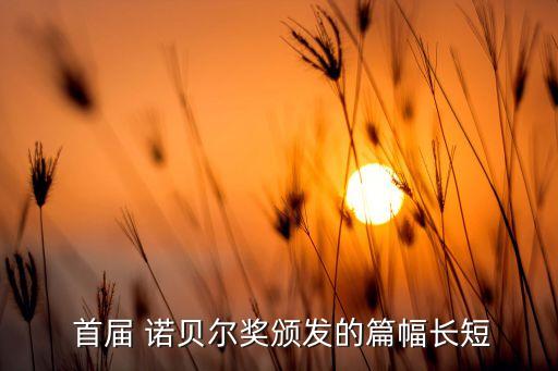  首届 诺贝尔奖颁发的篇幅长短