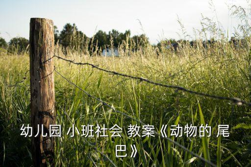 幼儿园 小班社会 教案《动物的 尾巴》