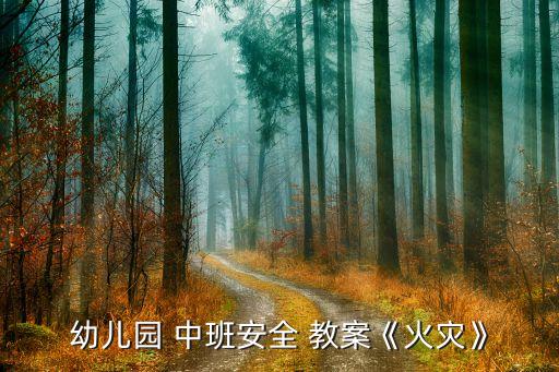 中班主题教案消防员反思,幼儿园安全教案