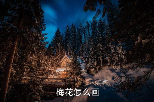 绘画教案梅花,第一朵梅花的画法（四））