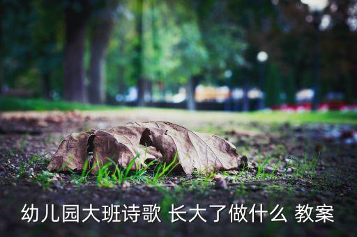 幼儿园大班诗歌 长大了做什么 教案