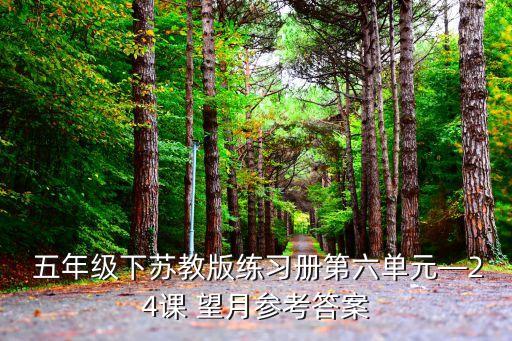  五年级下苏教版练习册第六单元—24课 望月参考答案