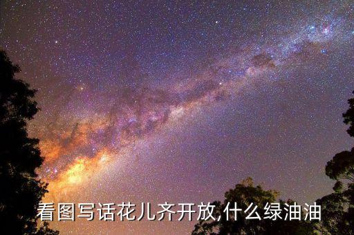 春天真美丽看图写话教案设计,春光明媚我国小学生踏青寻春春