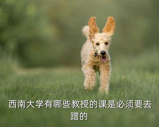  西南大学有哪些教授的课是必须要去蹭的
