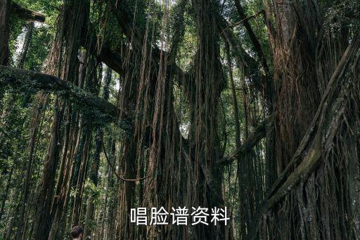 唱脸谱资料